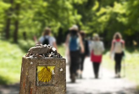 Les pèlerins de Saint-Jacques-de-Compostelle